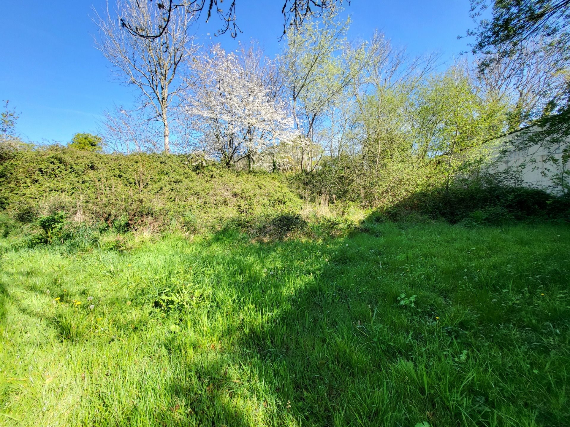 Maison à vendre, 520m², Crozon
