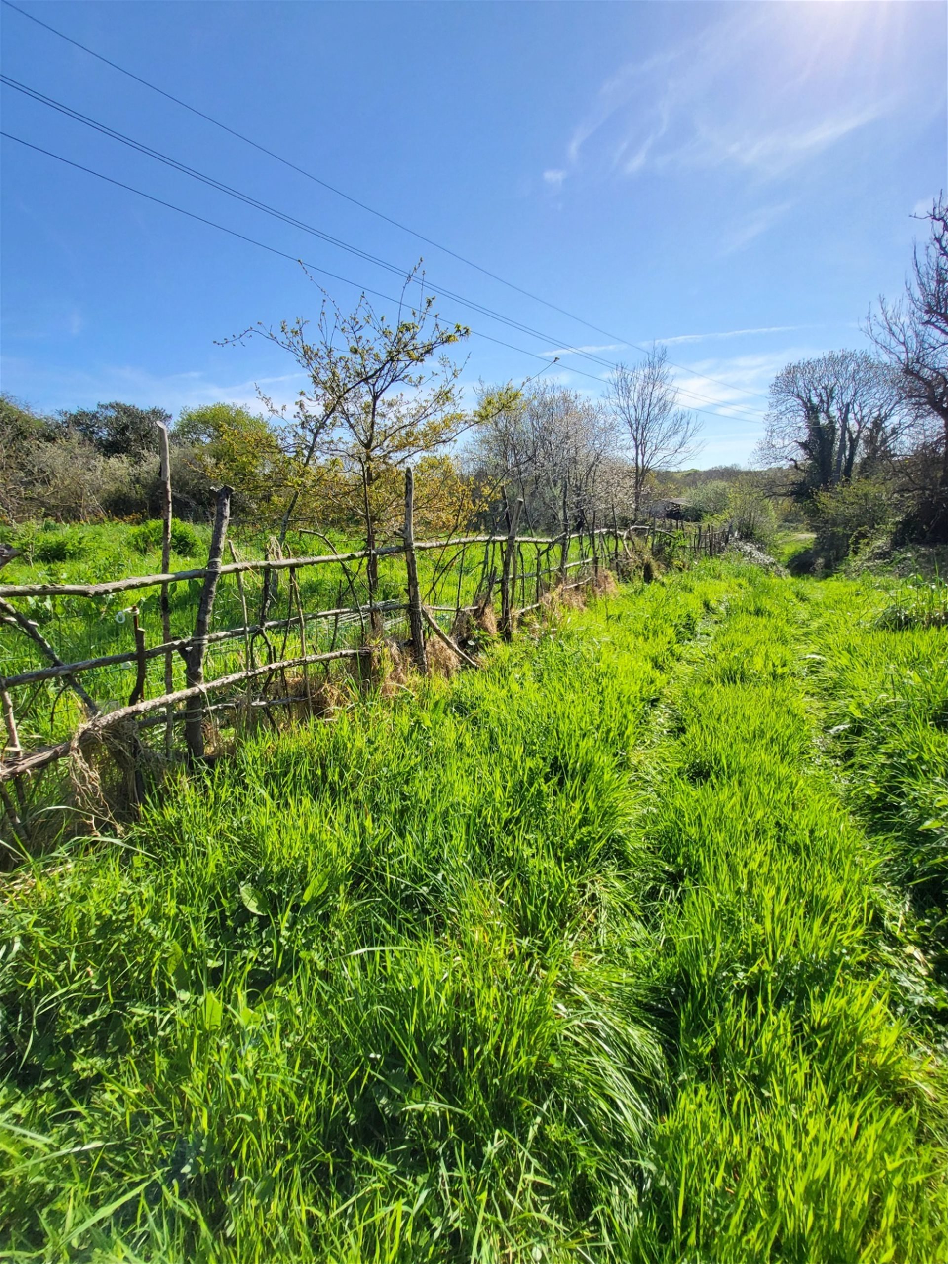 Maison à vendre, 520m², Crozon
