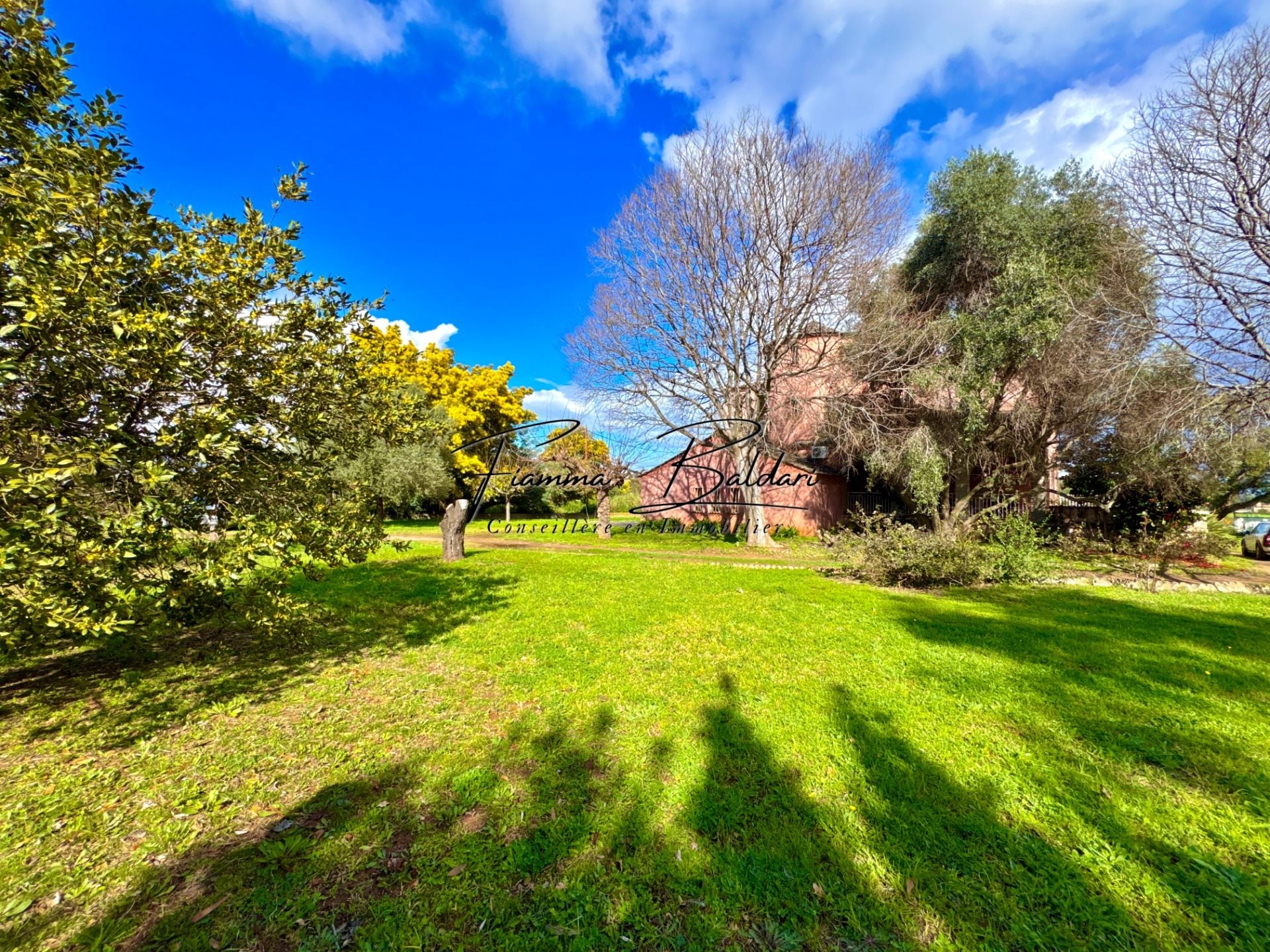 Maison à vendre, 206m², Penta-di-Casinca