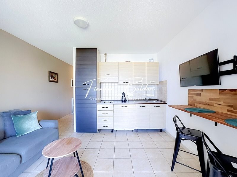 Appartement à vendre, 27m², Linguizzetta