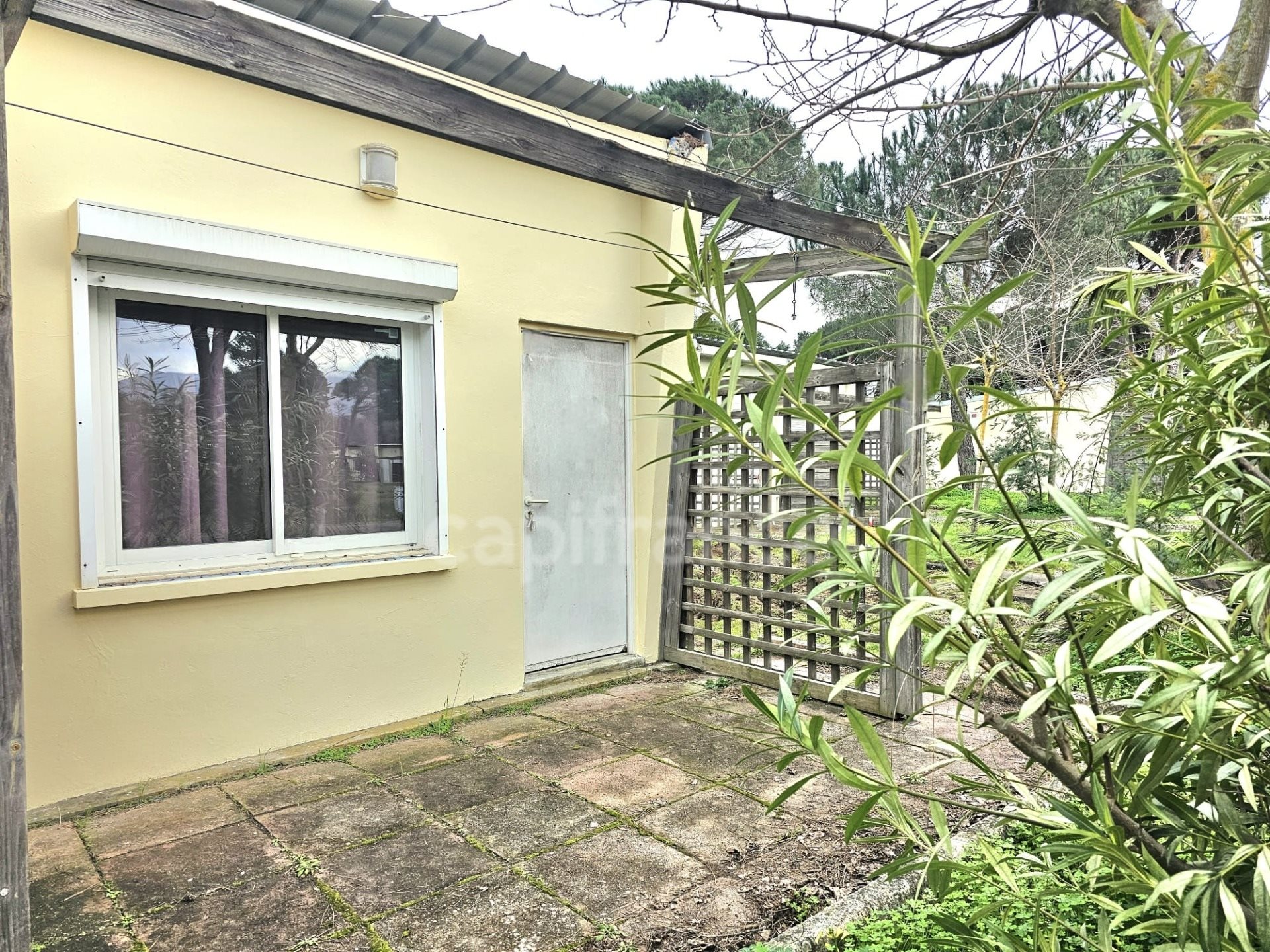Maison à vendre, 32m², Castellare-di-Casinca