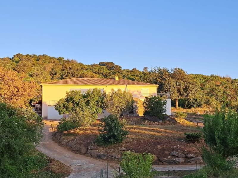 Maison à vendre, 170m², San-Nicolao