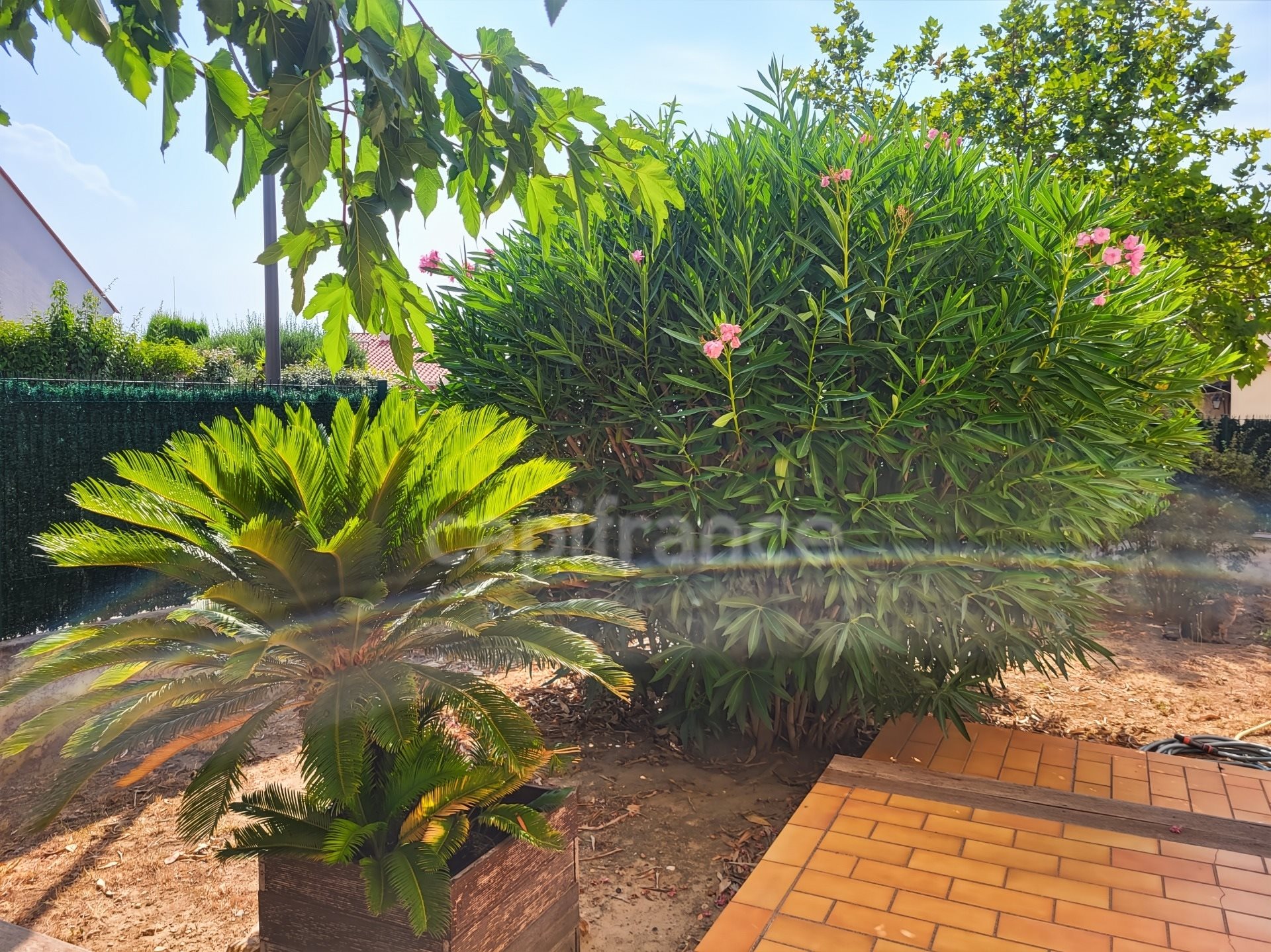 Maison à vendre, 144m², Cabestany