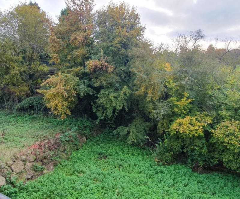Maison à vendre, 60m², Chéniers