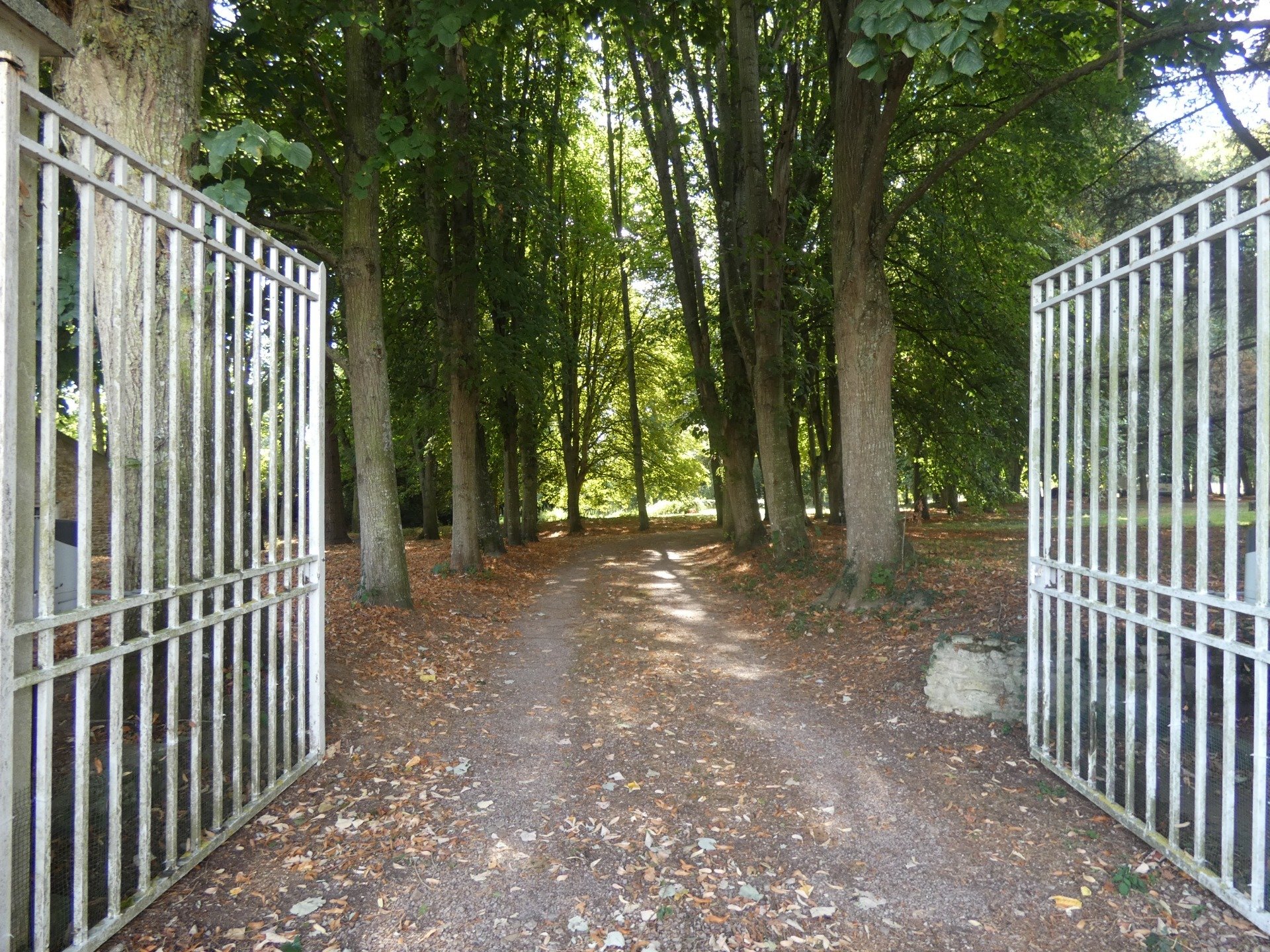 Maison à vendre, 250m², Falaise