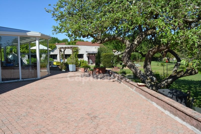 Maison à vendre, 262m², Cuffy