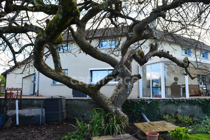 Maison à vendre, 262m², Cuffy