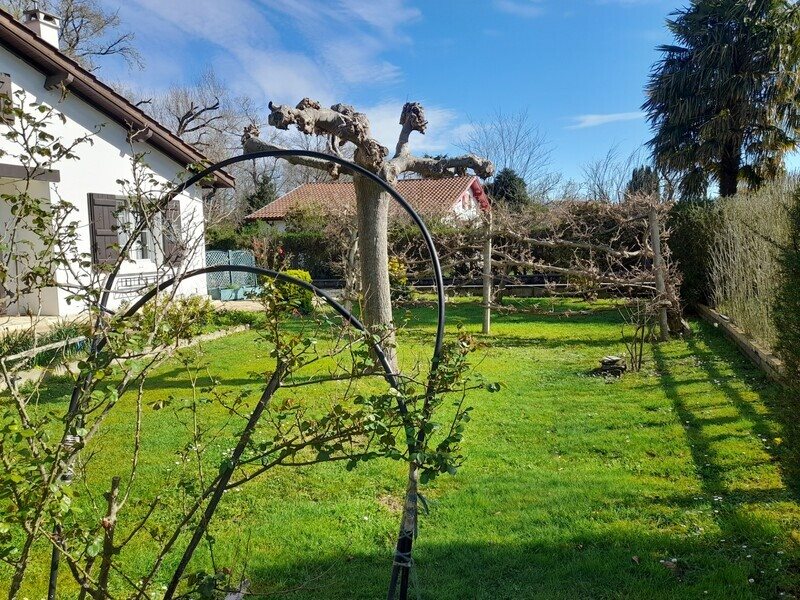 Maison à vendre, 100m², Sare
