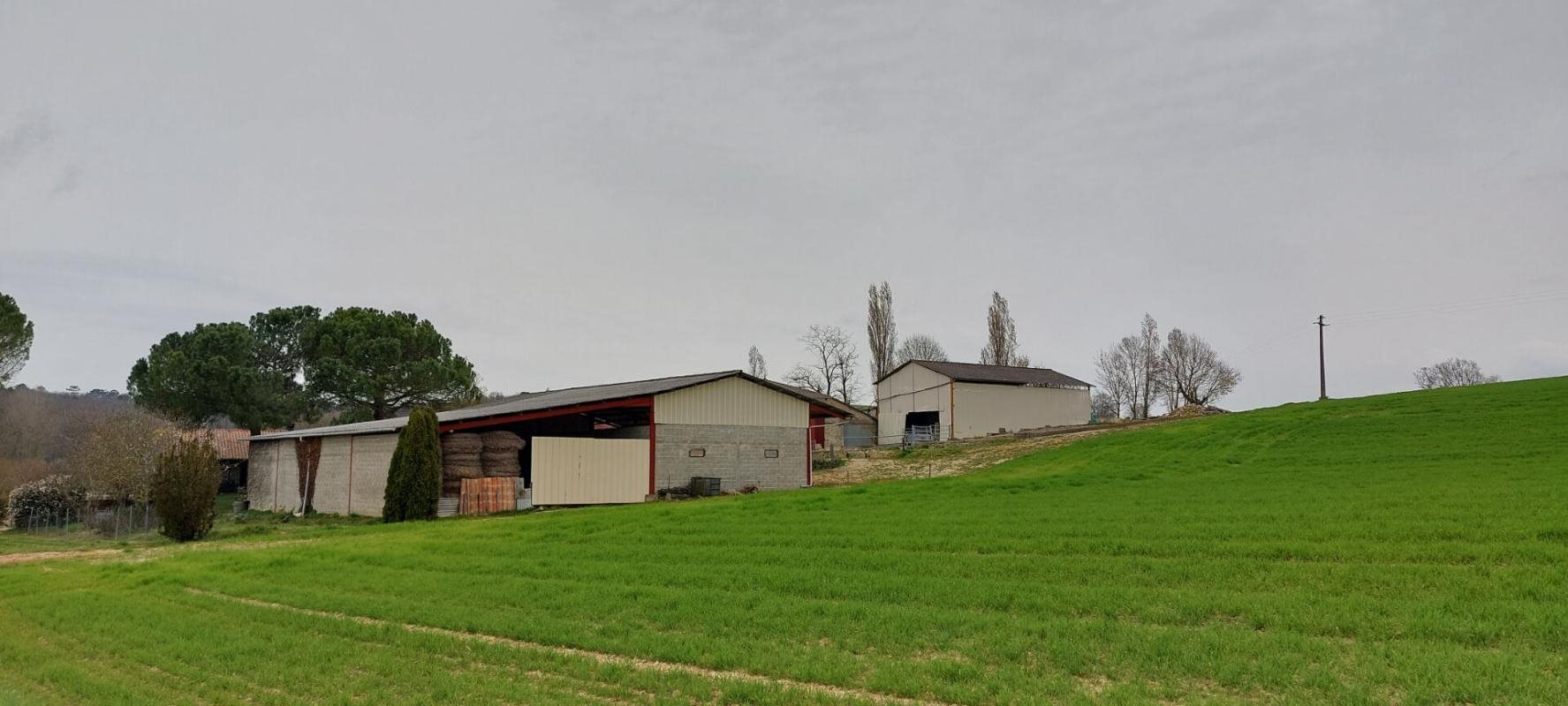 Maison à vendre, 300m², Saint-Vivien-de-Monségur