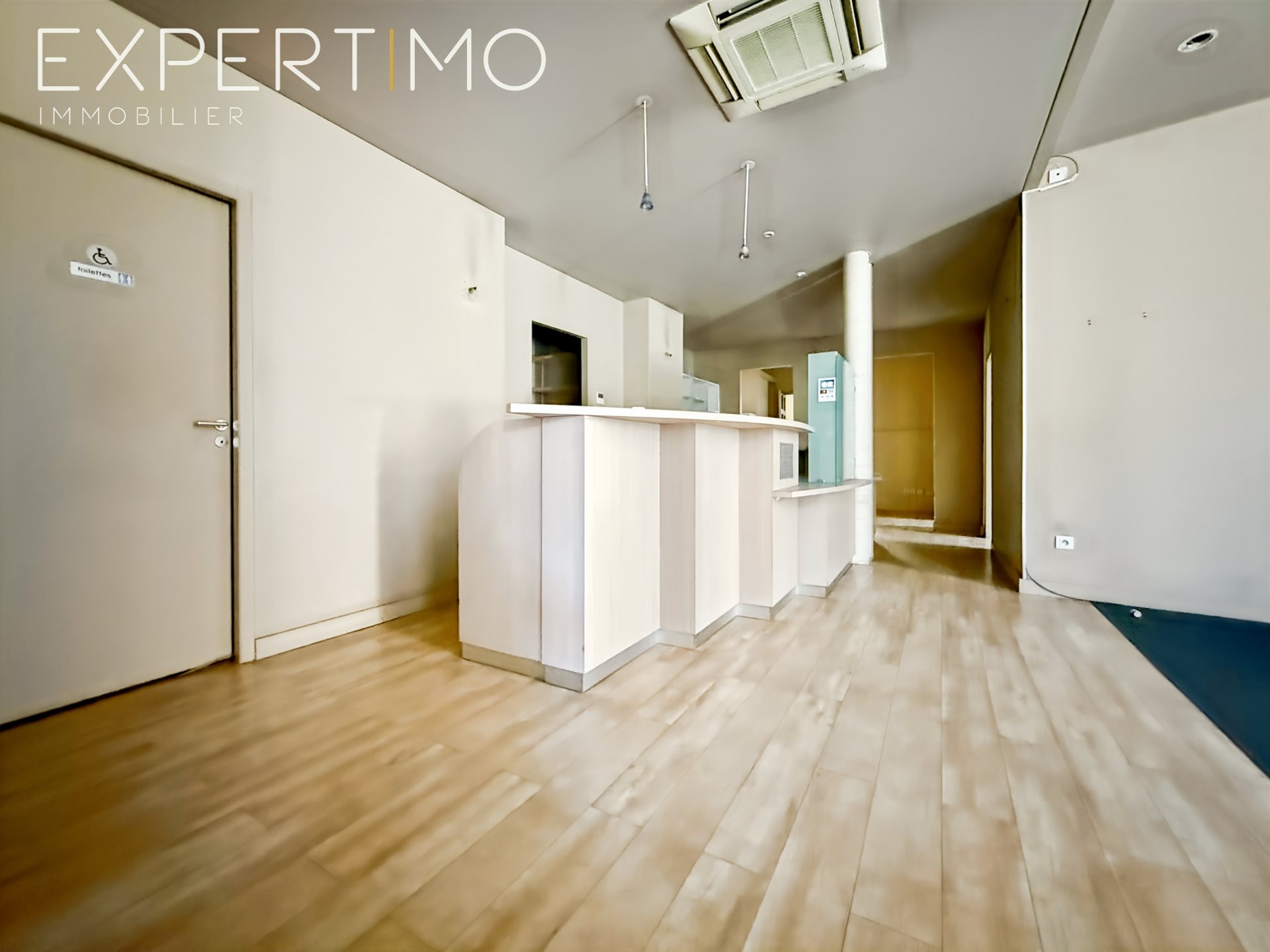 Maison à vendre, 535m², Lunel