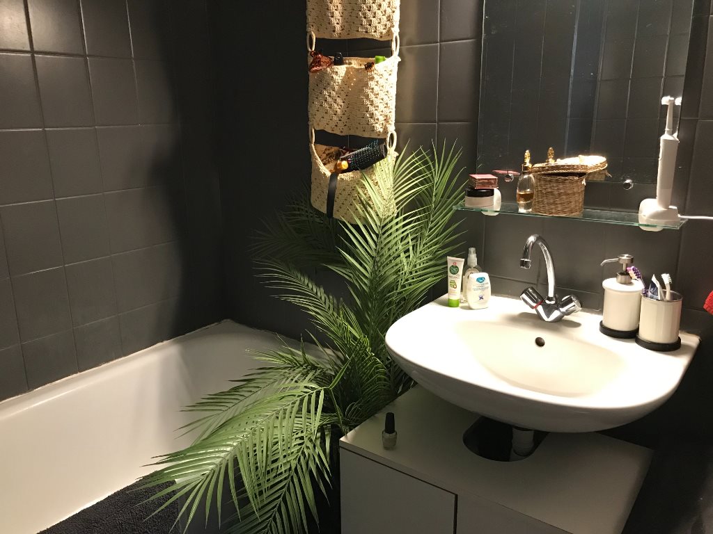 Appartement à louer, 33m², Lille