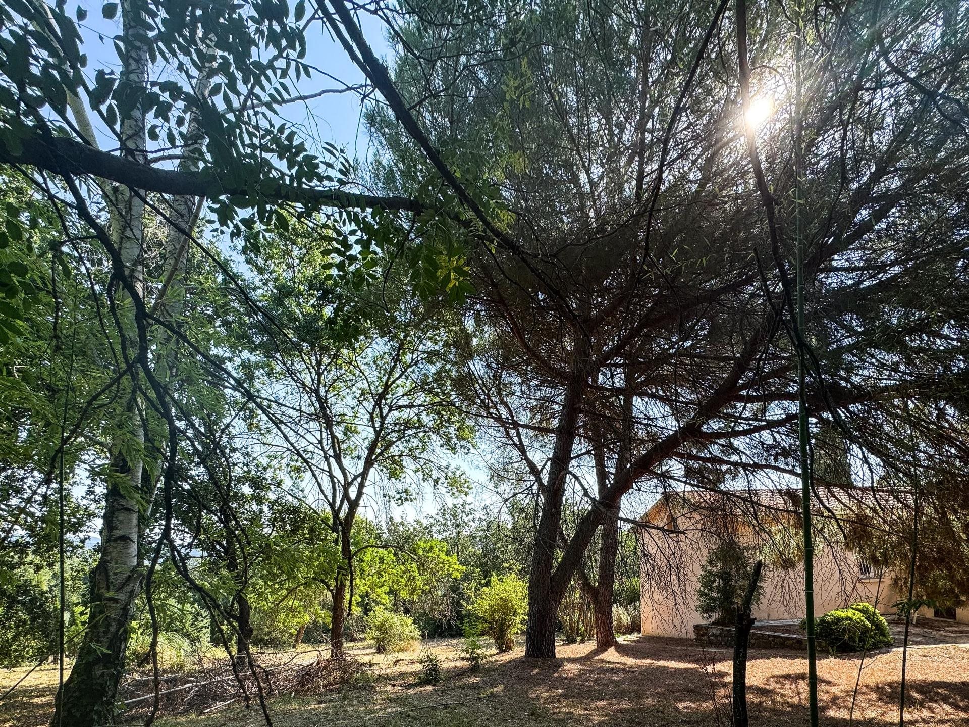 Maison à vendre, 164m², Los Masos