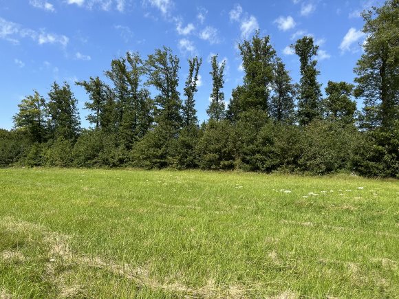 Maison à vendre, 1200m², Lixy