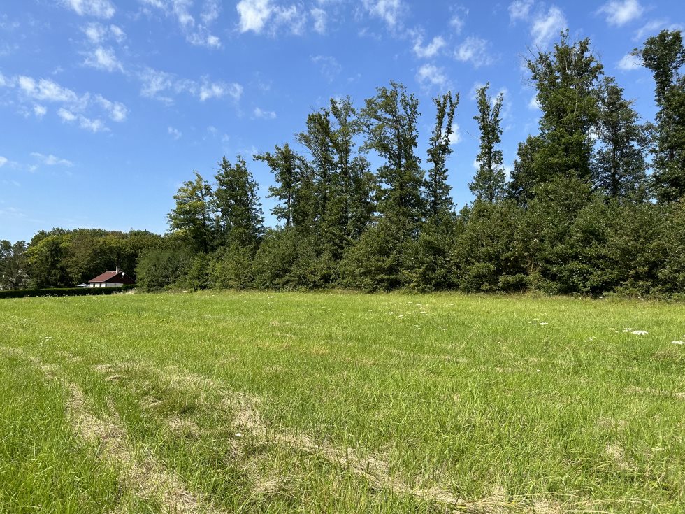 Maison à vendre, 1200m², Lixy
