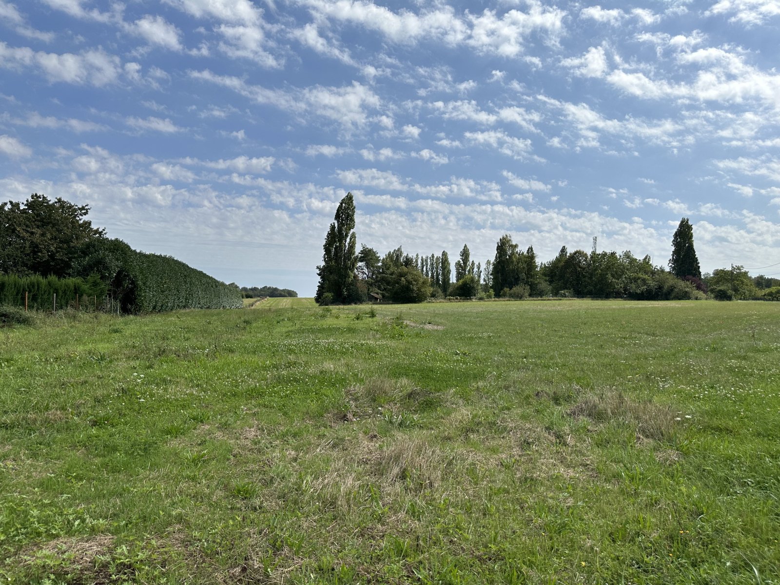 Maison à vendre, 1000m², Vallery