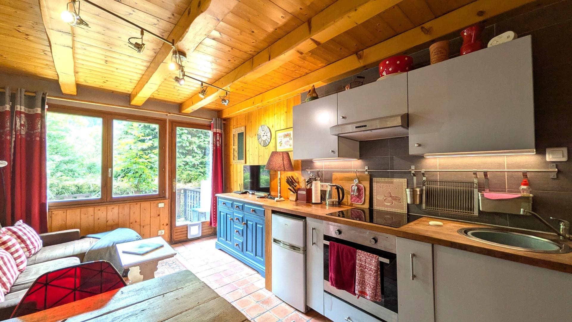 Appartement à vendre, 22m², Saint-Jean-d'Aulps