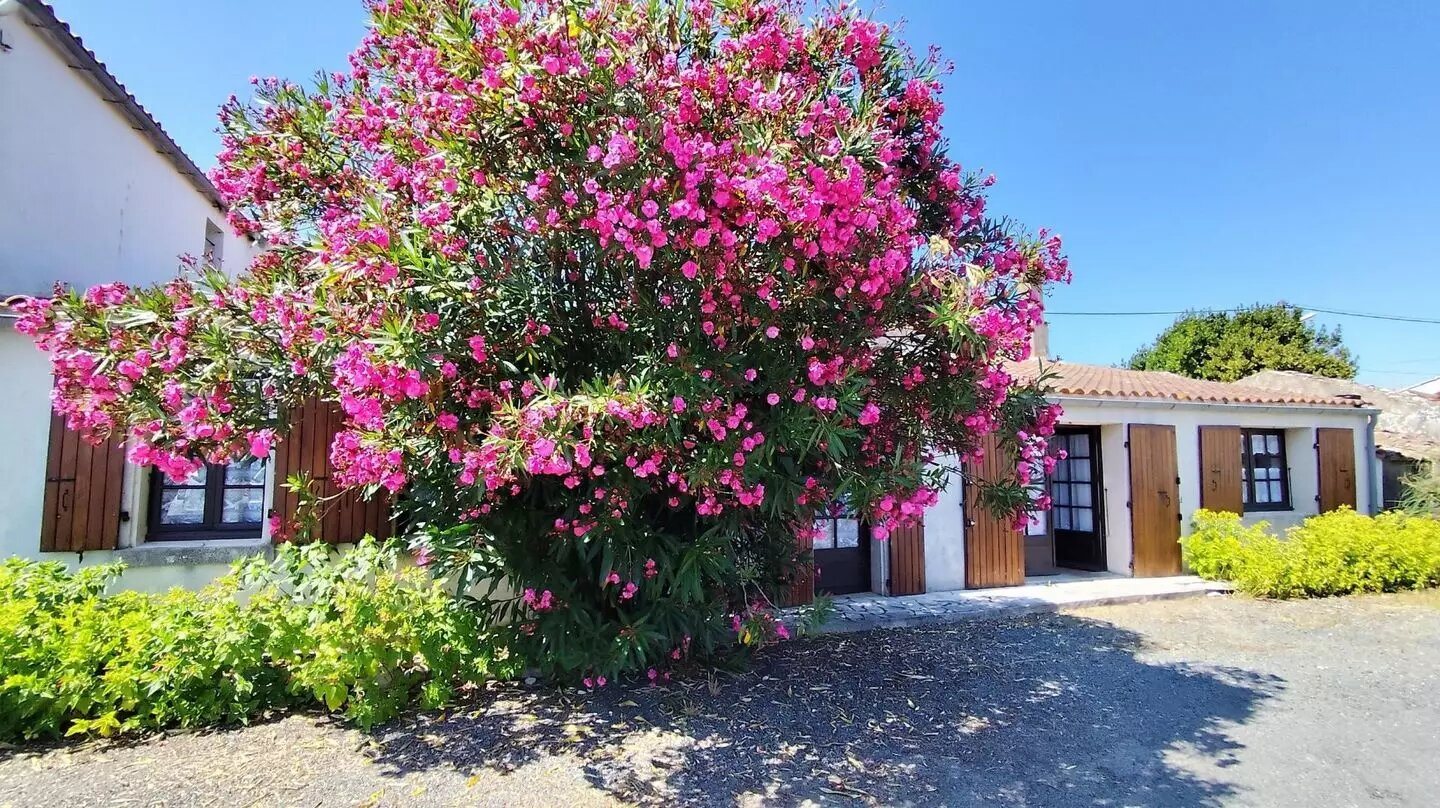Maison à vendre, 100m², Saint-Denis-d'Oléron