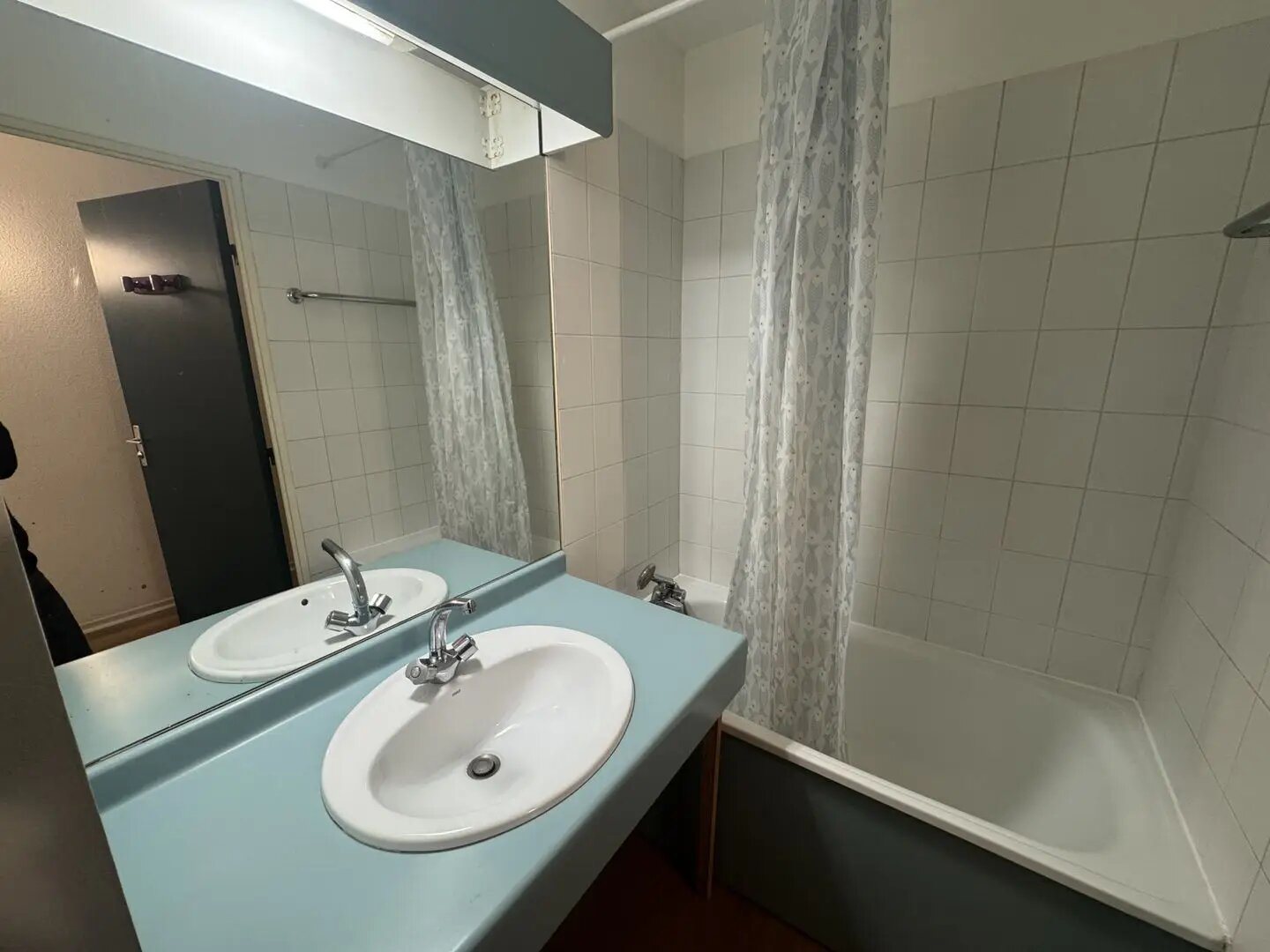 Appartement à louer, 23m², Lyon 9ème