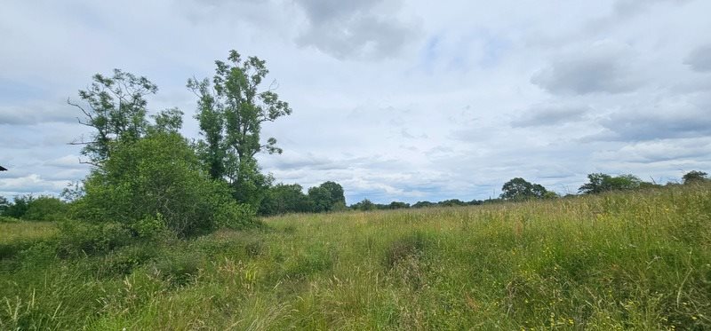 Maison à vendre, 240m², Poudenx