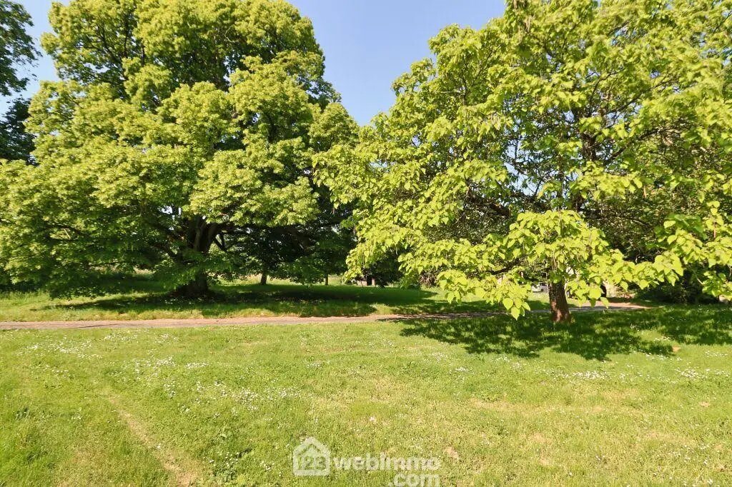 Maison à vendre, 295m², Sommières-du-Clain