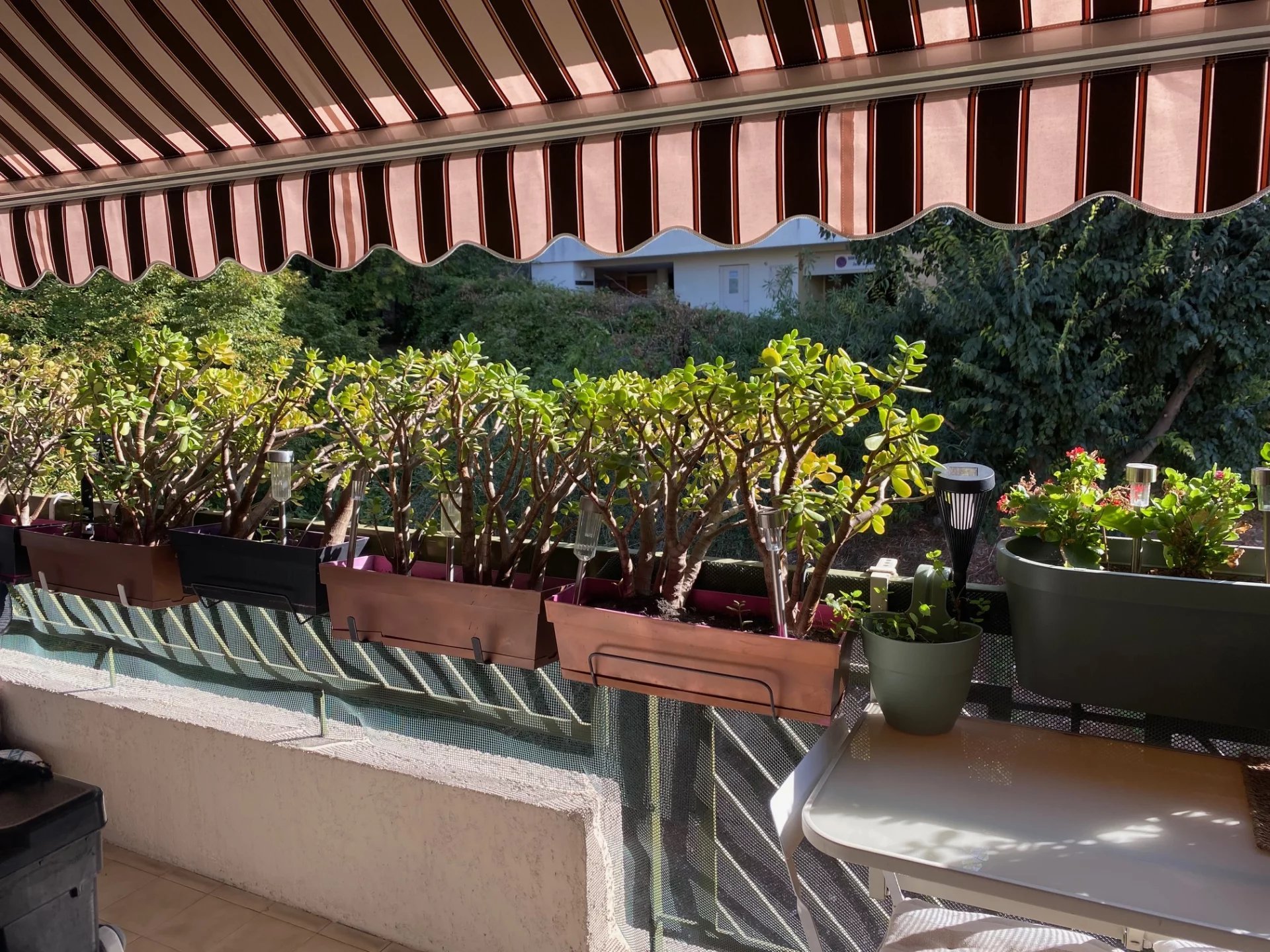 Appartement à vendre, 31m², Nice