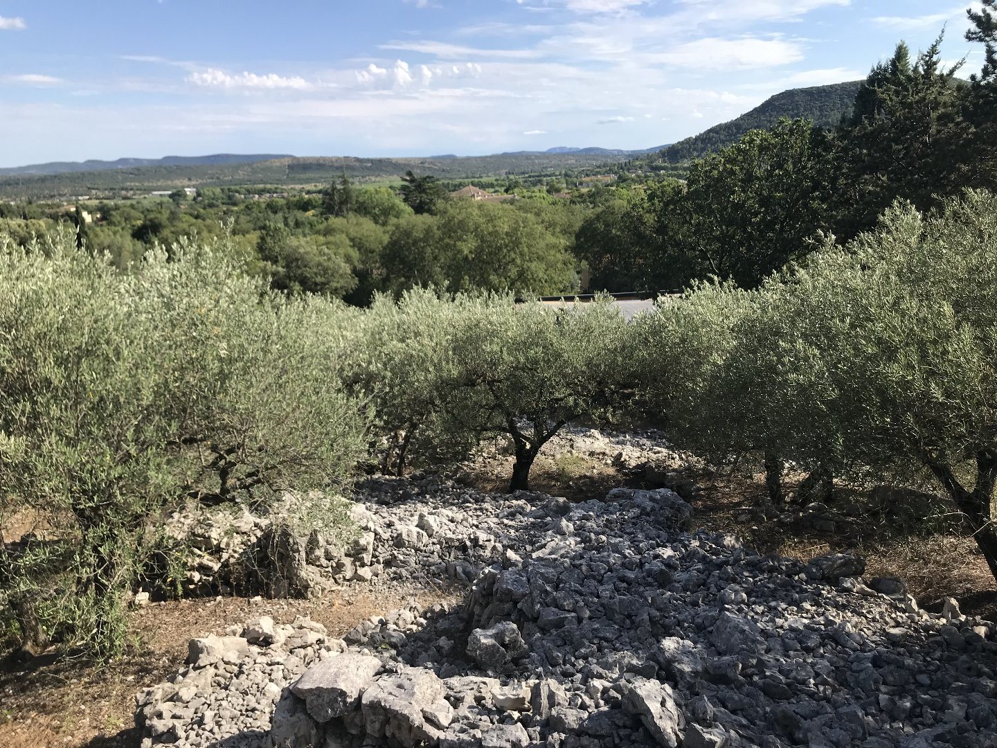 Maison à vendre, 22m², Saint-Hippolyte-du-Fort