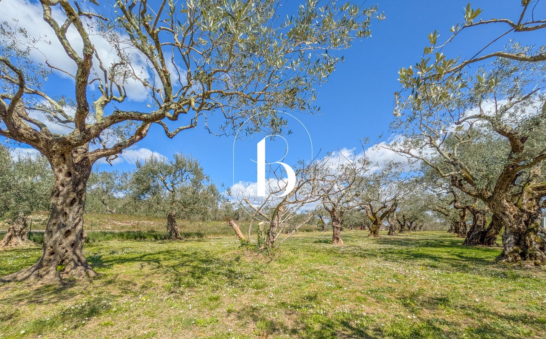 Maison à vendre, 178m², Barjac