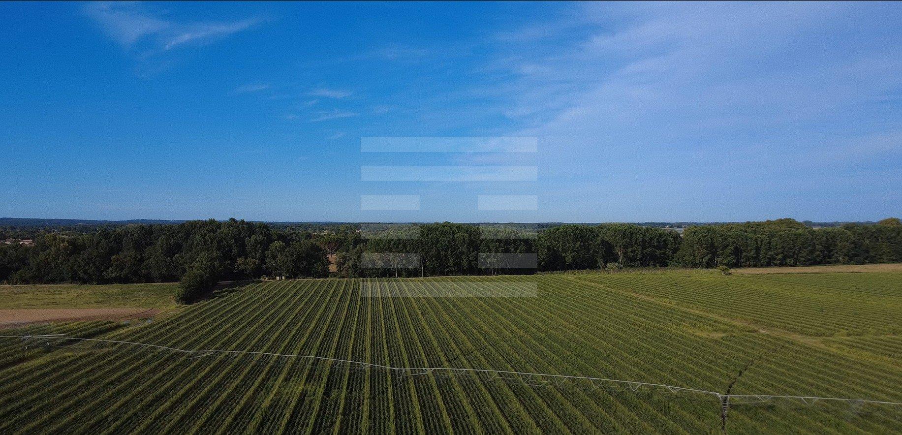 Maison à vendre, 200m², Nègrepelisse