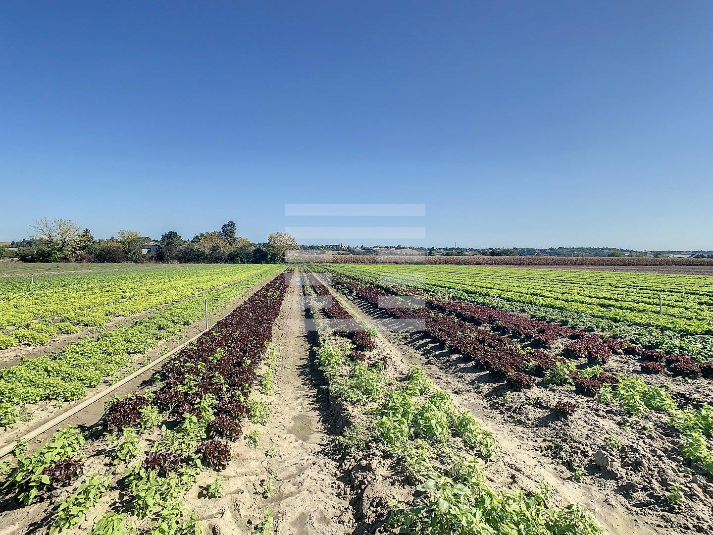 Maison à vendre, 120m², Marmande