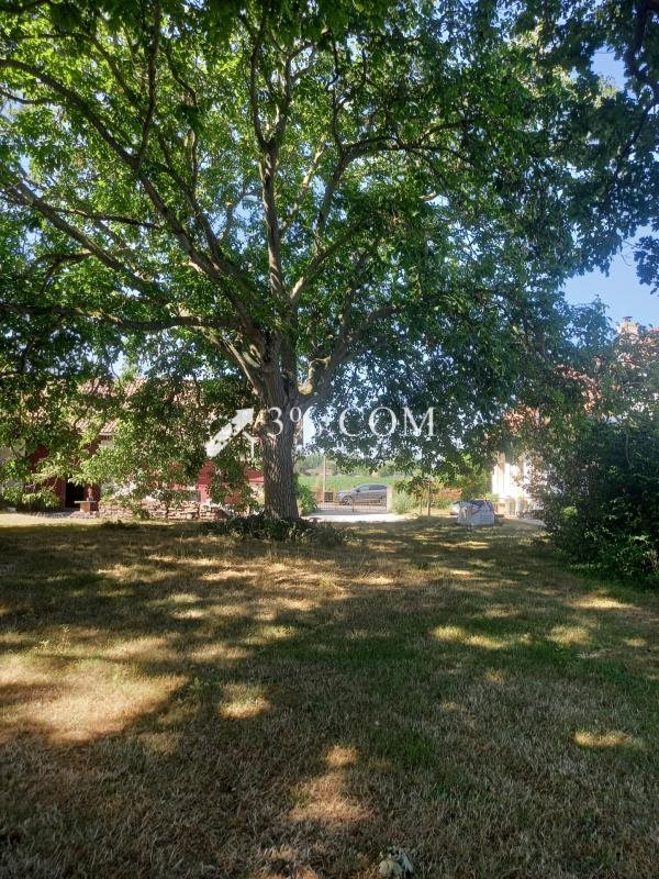 Maison à vendre, 125m², Merville