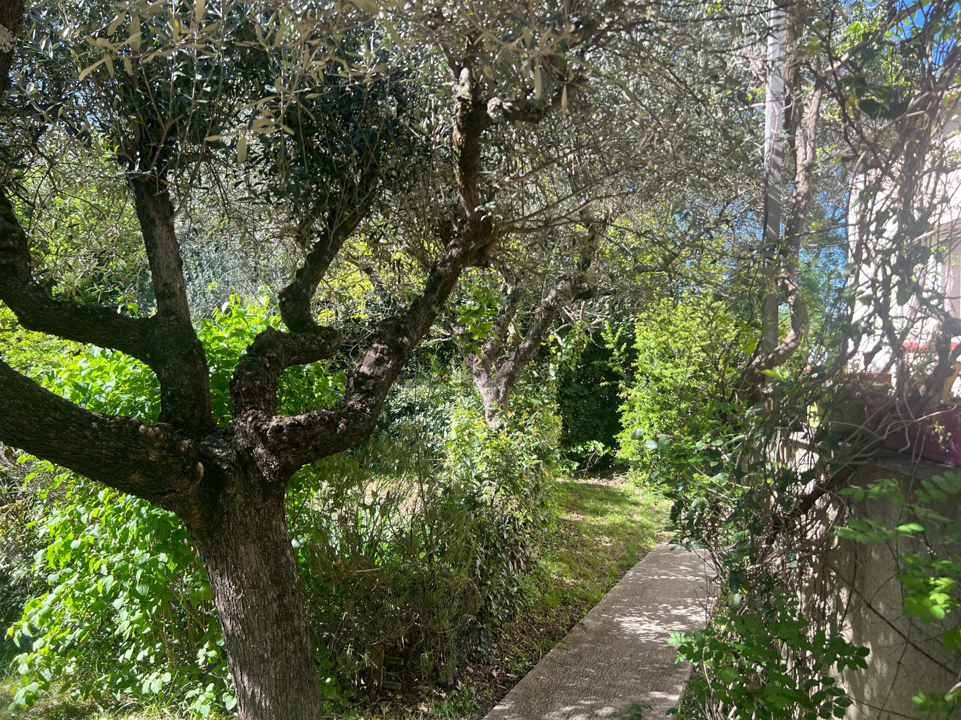 Maison à vendre, 100m², Deaux
