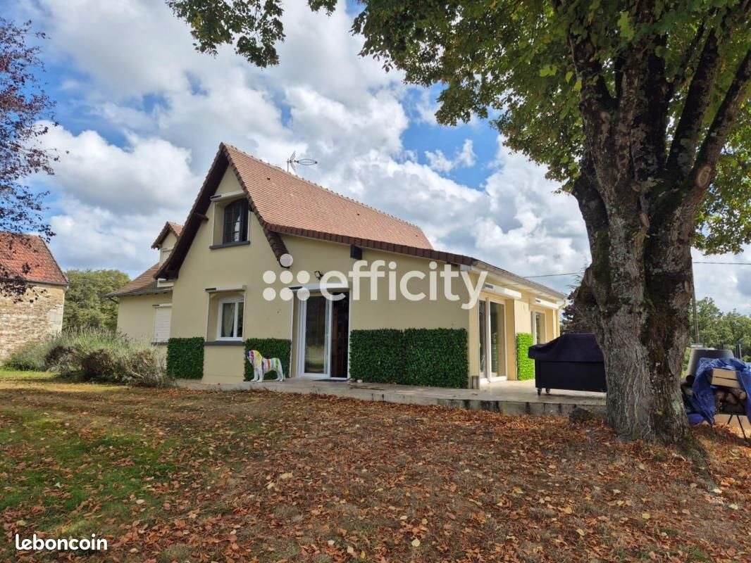 Maison à vendre, 200m², Thevet-Saint-Julien