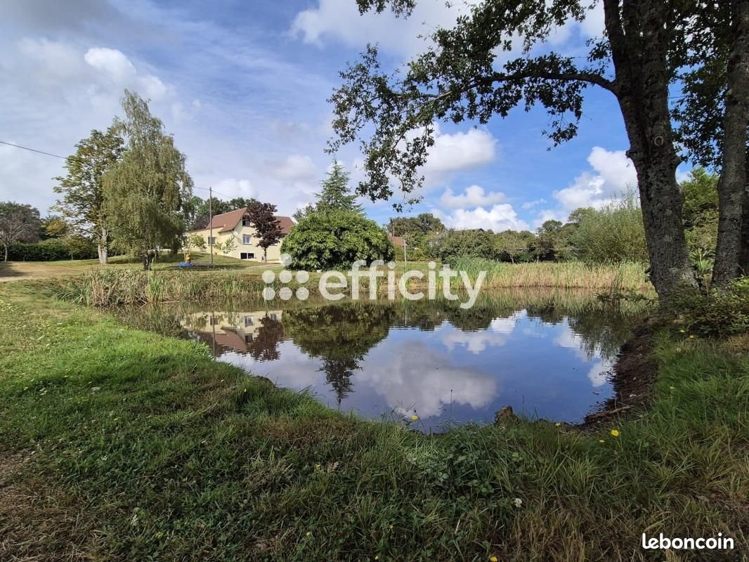 Maison à vendre, 200m², Thevet-Saint-Julien