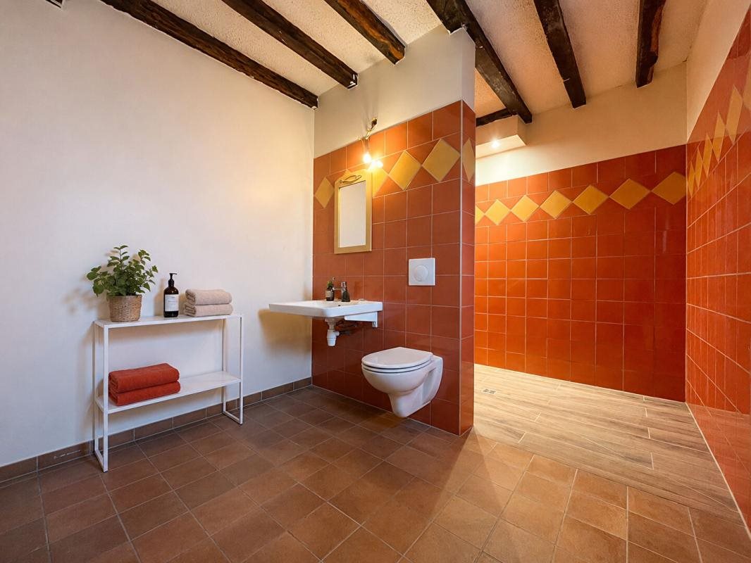 Maison à vendre, 290m², Levroux