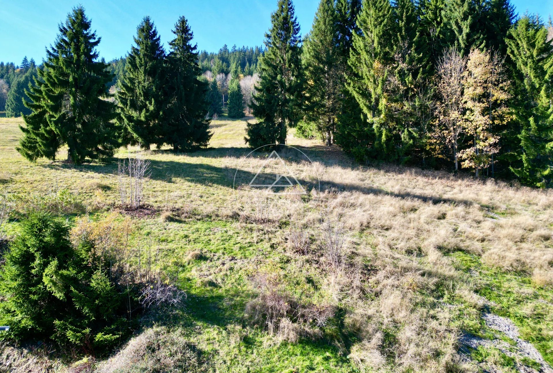 Maison à vendre, 141m², Les Gets