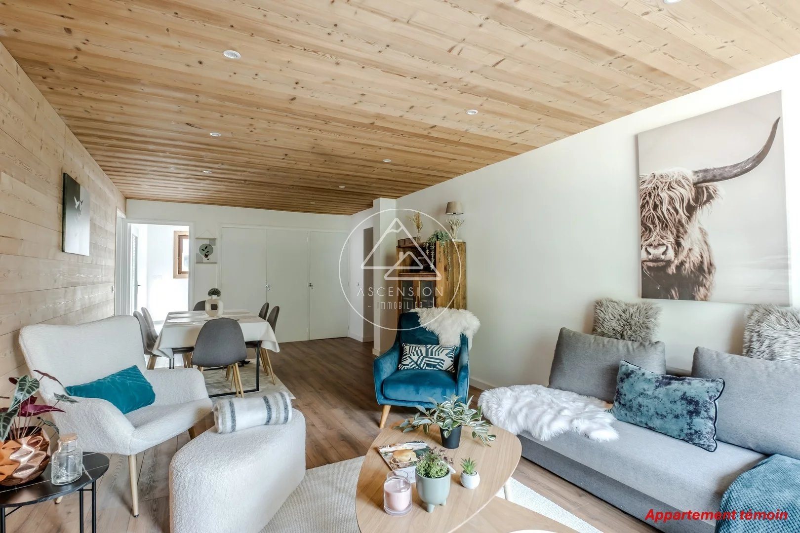 Appartement à vendre, 44m², Saint-Jean-d'Aulps
