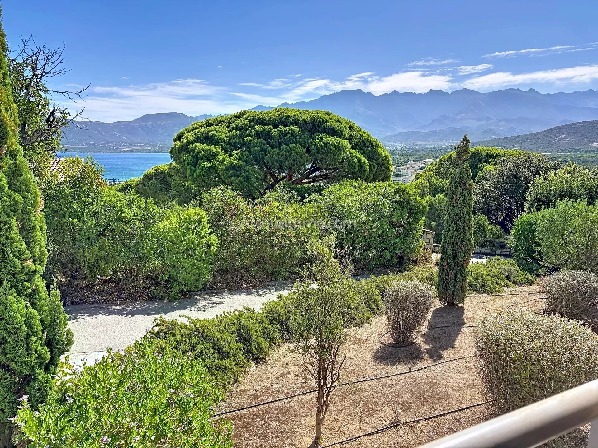 Appartement à vendre, 35m², Calvi