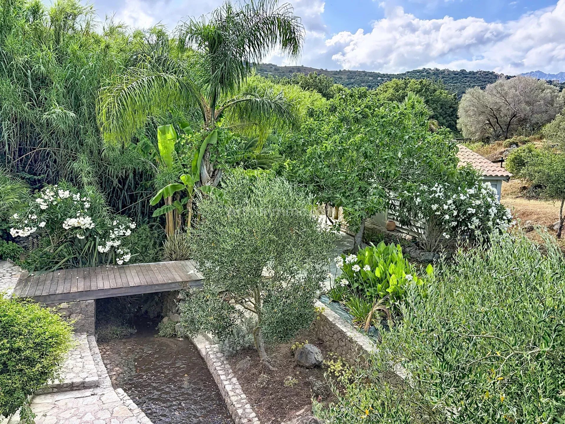 Maison à vendre, 155m², Aregno