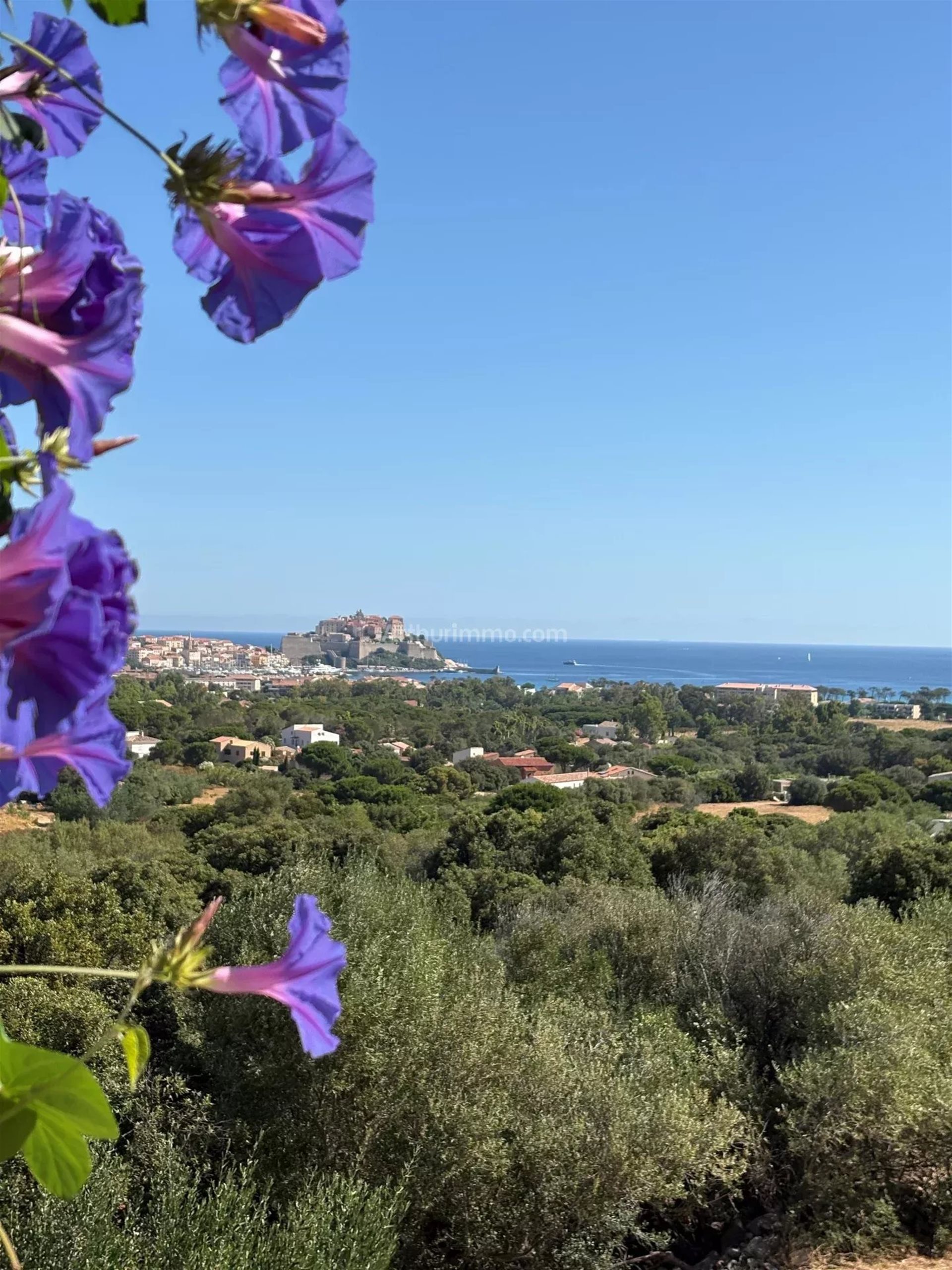 Maison à vendre, 68m², Calvi