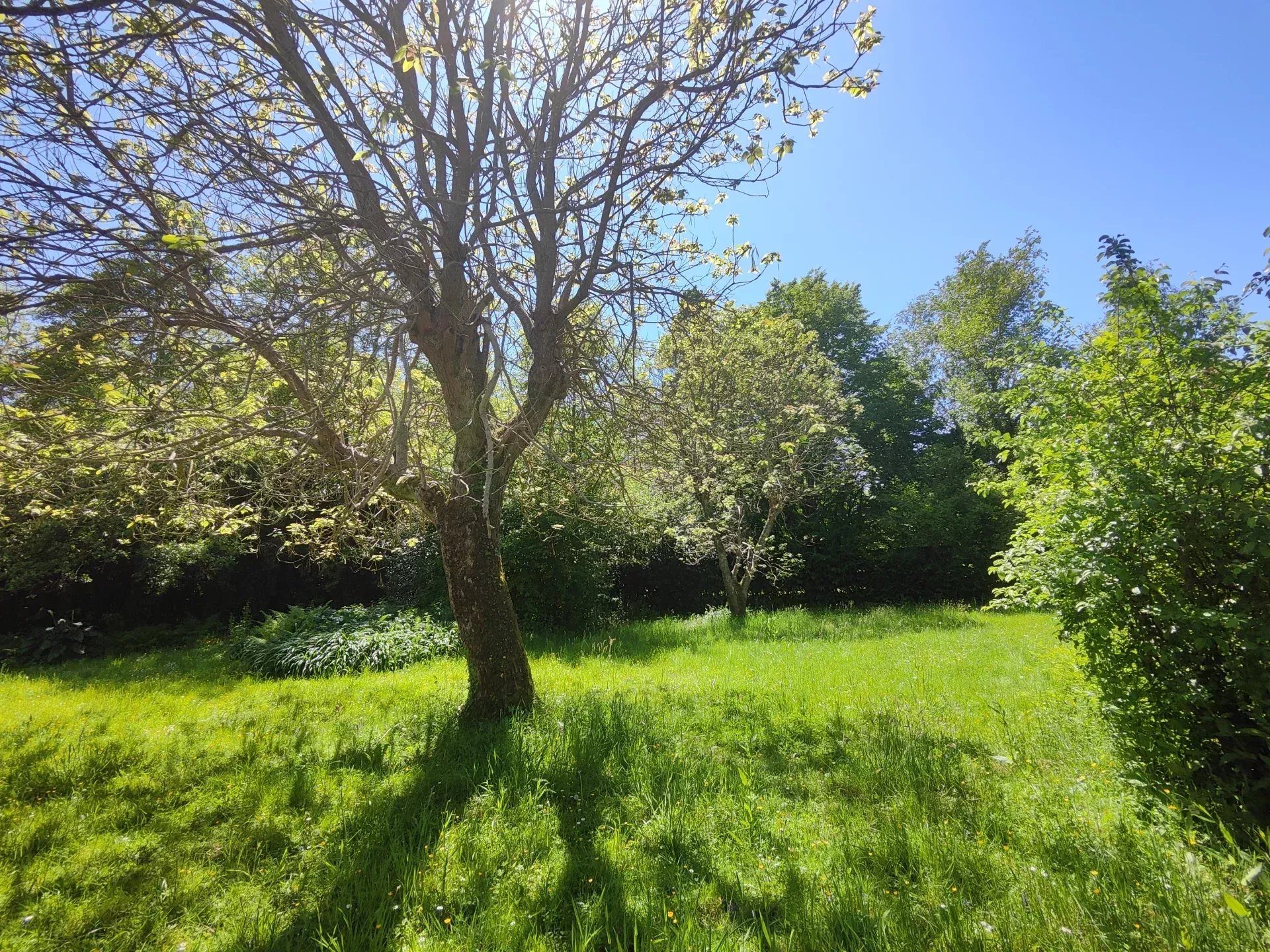 Maison à vendre, 376m², Pouillon