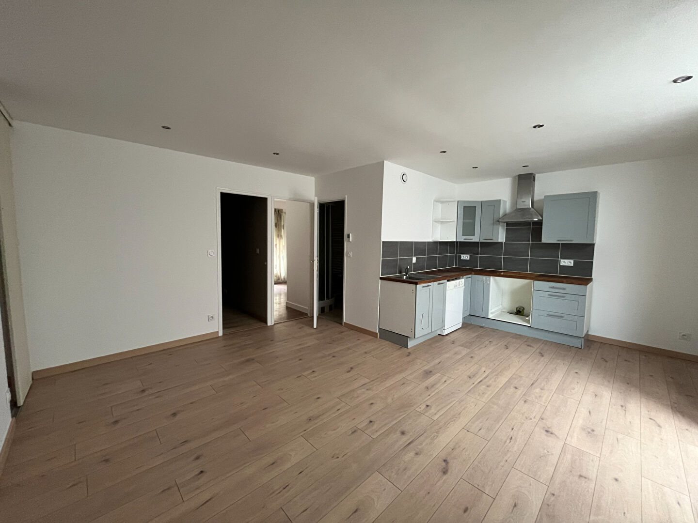 Appartement à louer, 47m², Saint-Etienne