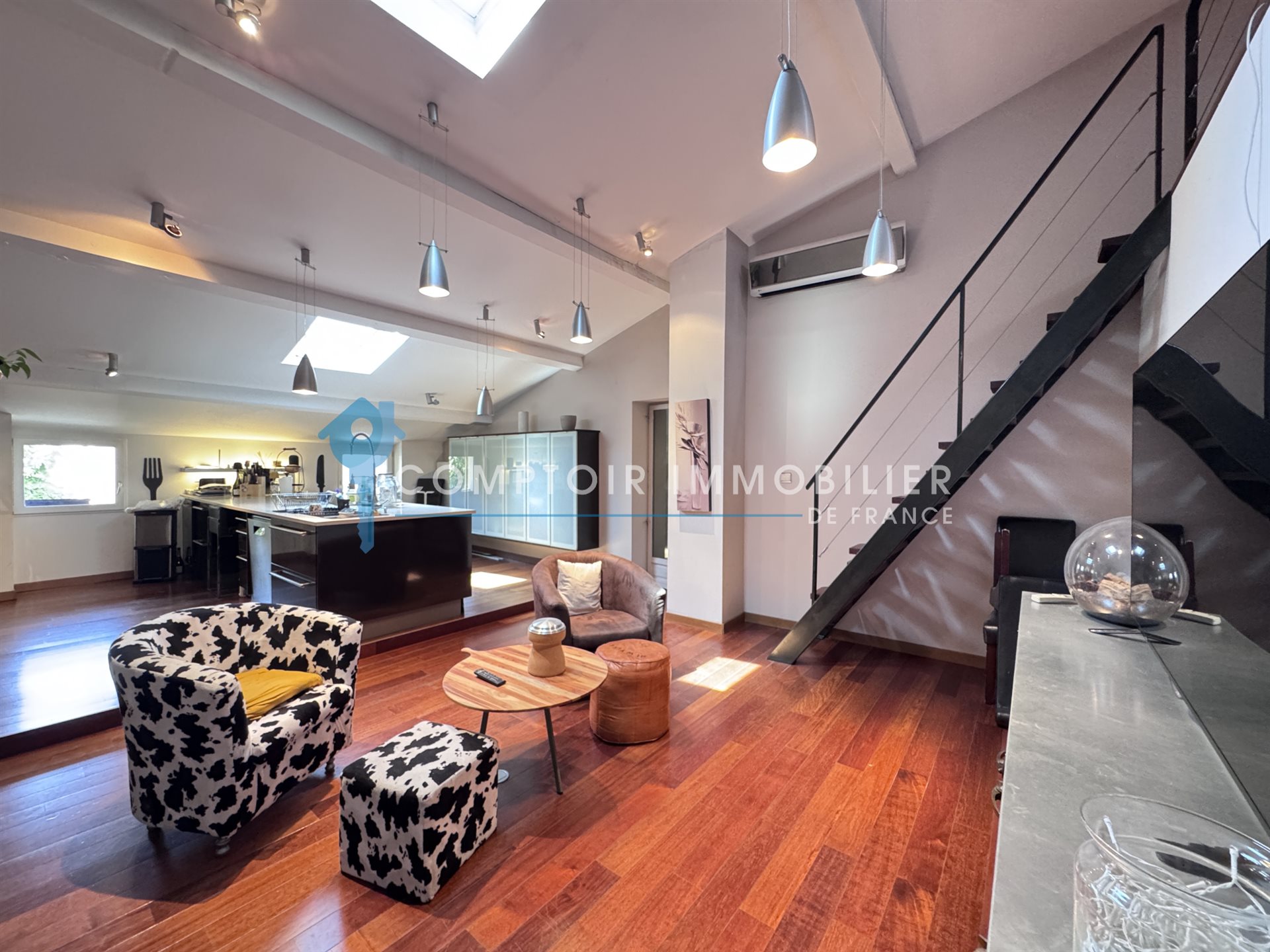 Maison à vendre, 200m², Romans-sur-Isère