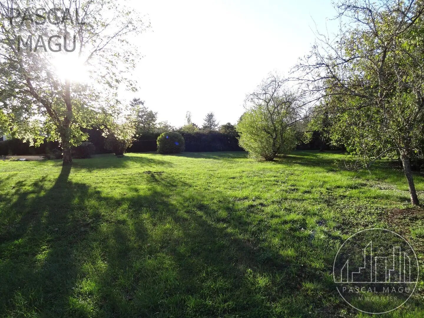 Maison à vendre, 227m², Villey-Saint-Etienne