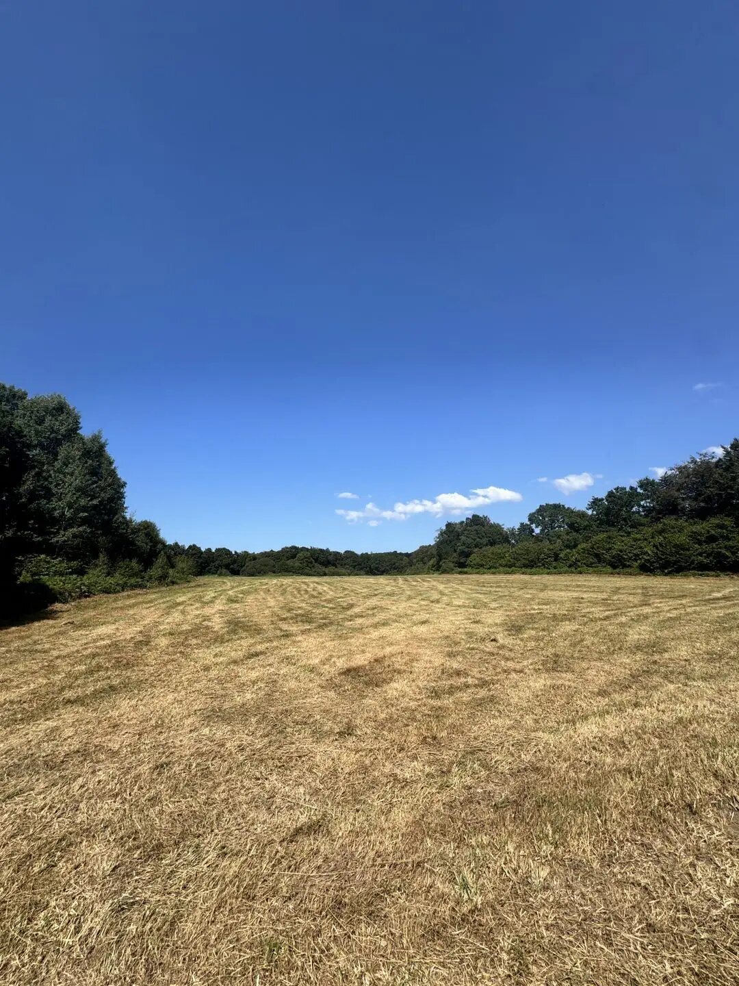 Maison à vendre, 114m², Loguivy-Plougras