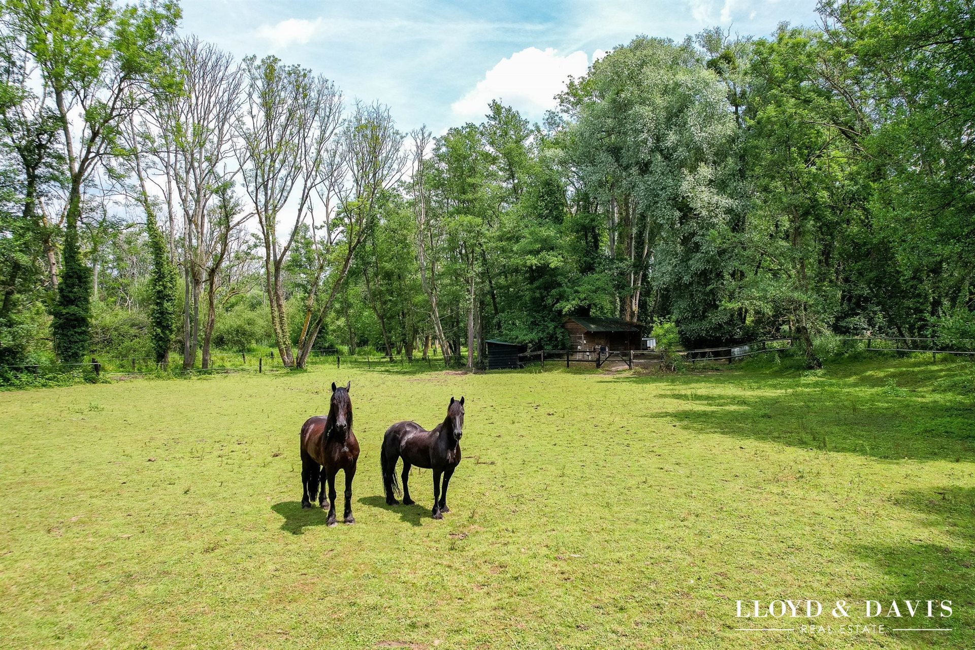 Maison à vendre, 310m², Saint-Maurice-Montcouronne