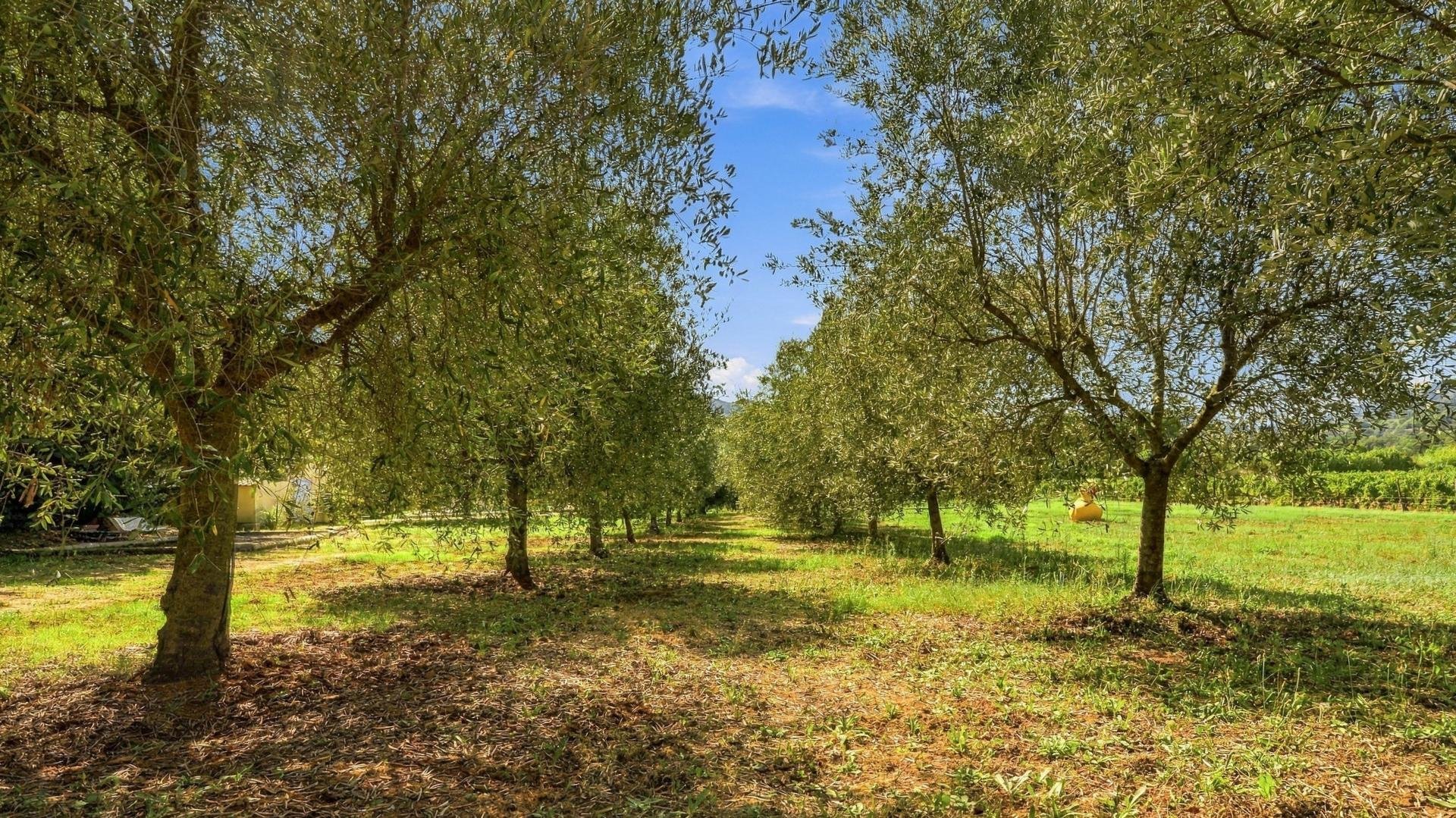 Appartement à vendre, 273m², Collobrières