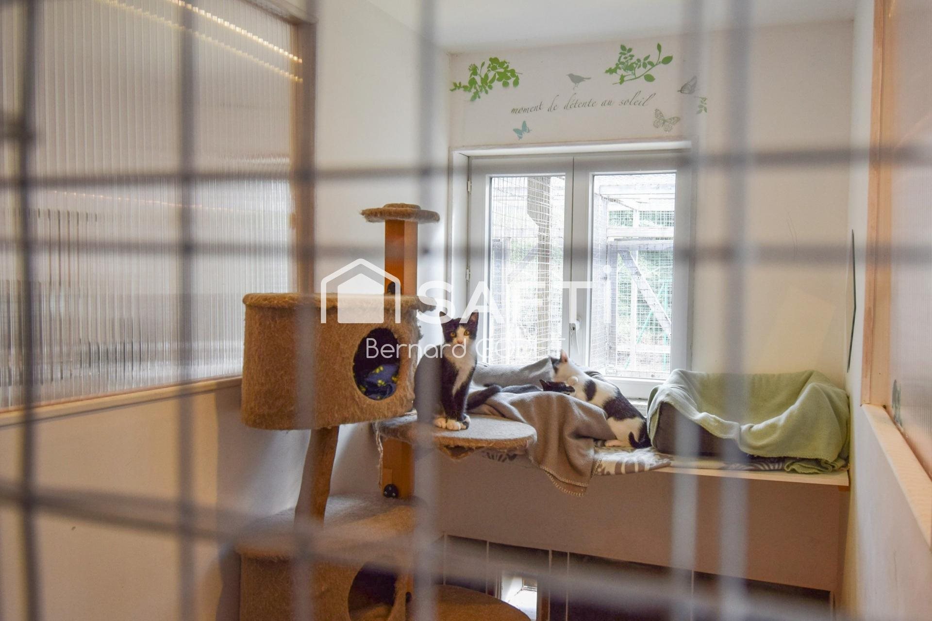 Maison à vendre, 212m², Champagne-Mouton