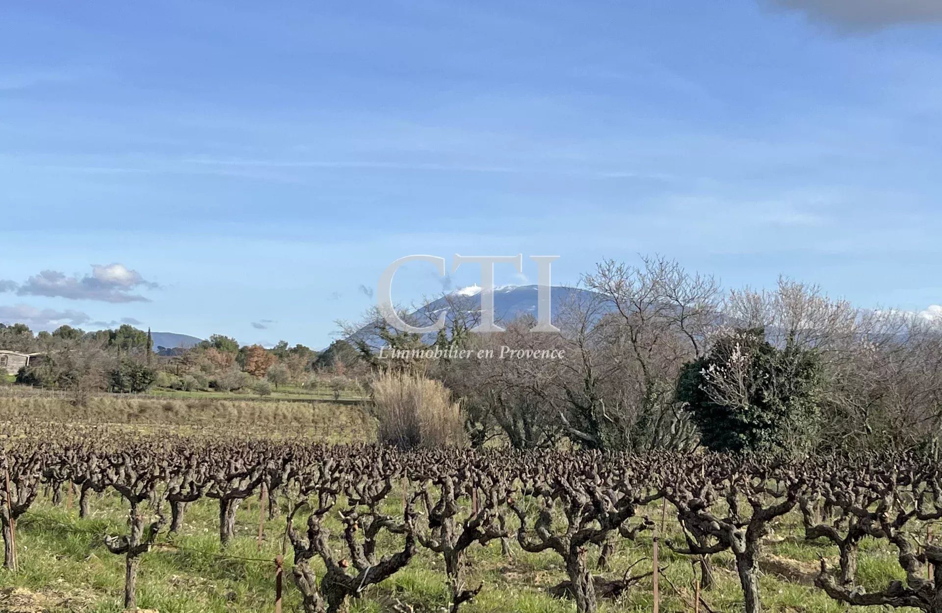 Maison à vendre, 240m², Vaison-la-Romaine