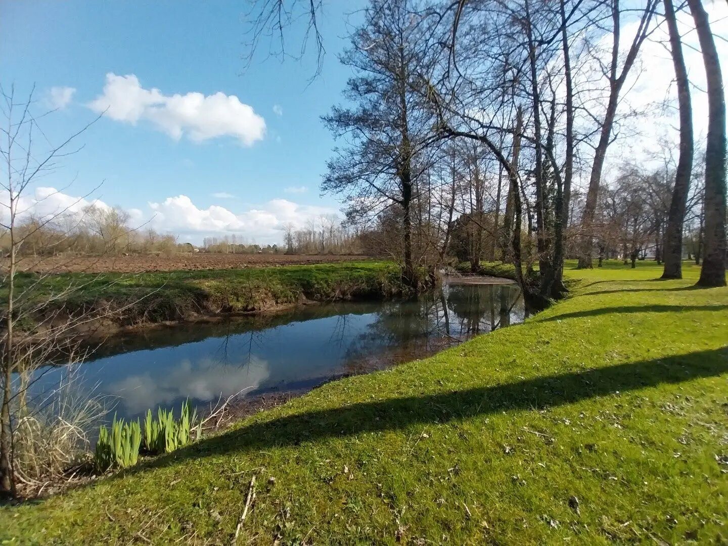 Maison à vendre, 284m², Magné