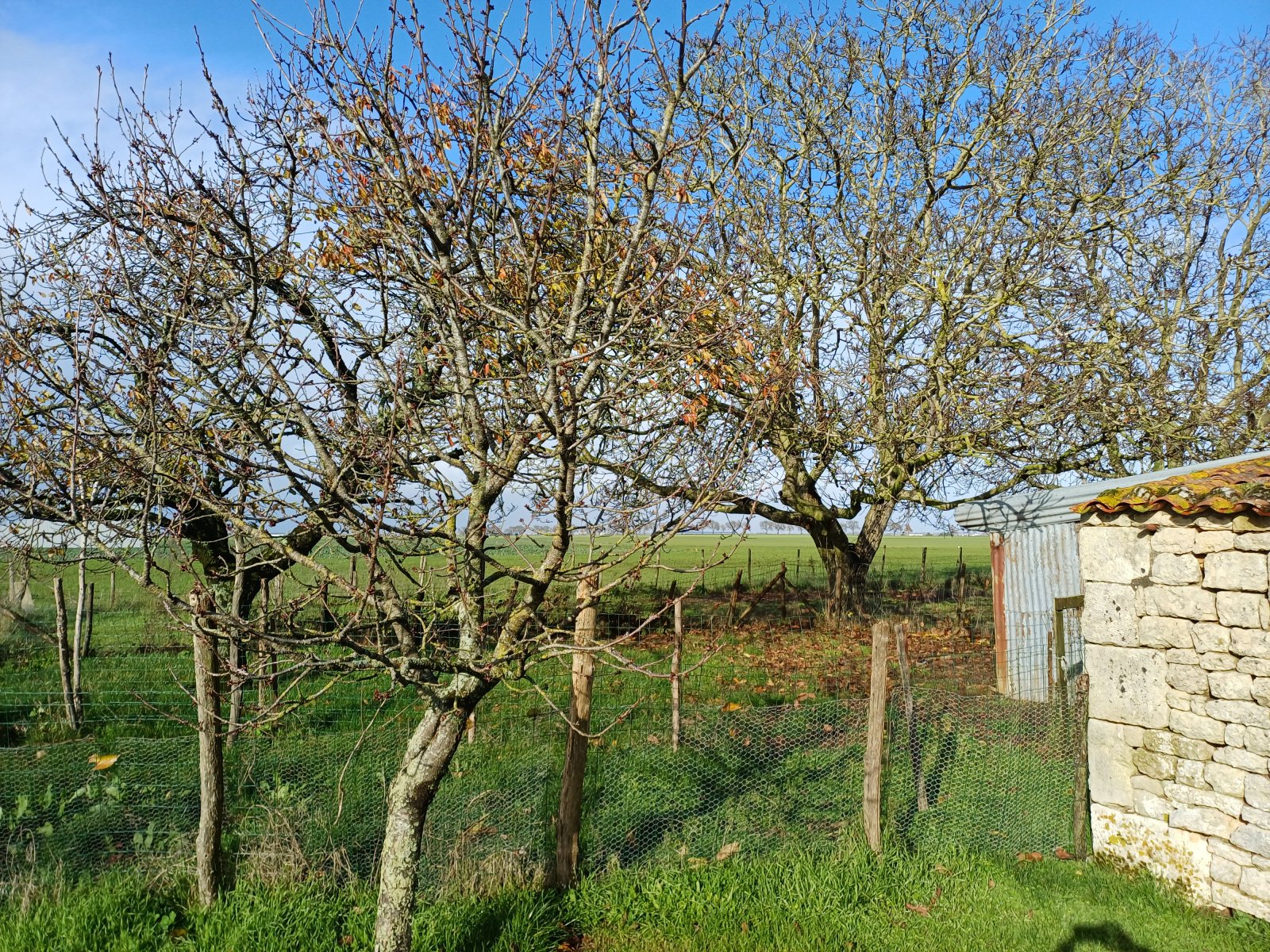 Maison à vendre, 1330m², Saint-Martin-de-Fraigneau